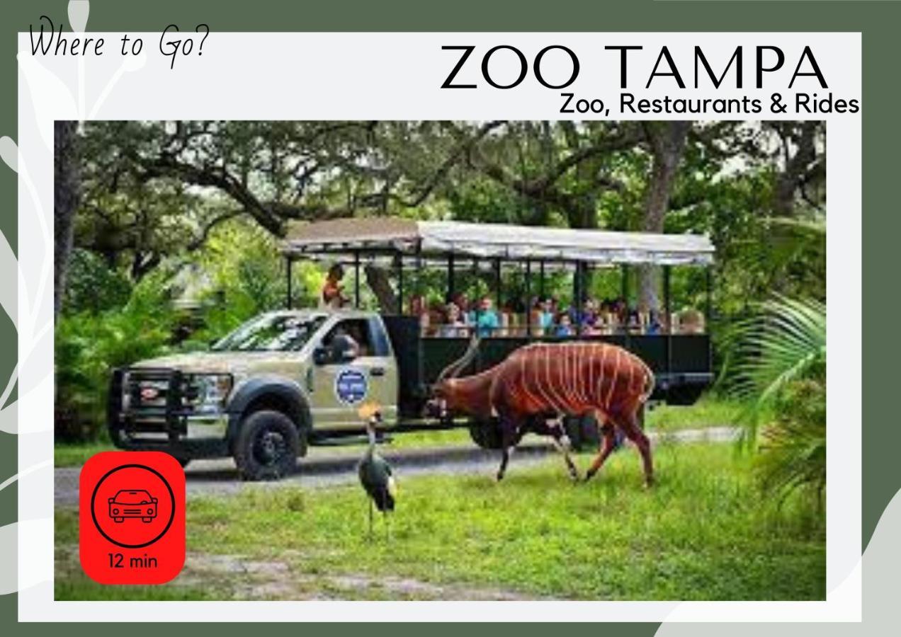 Cozy Home In Tampa Near Ybor & Busch Gardens Luaran gambar